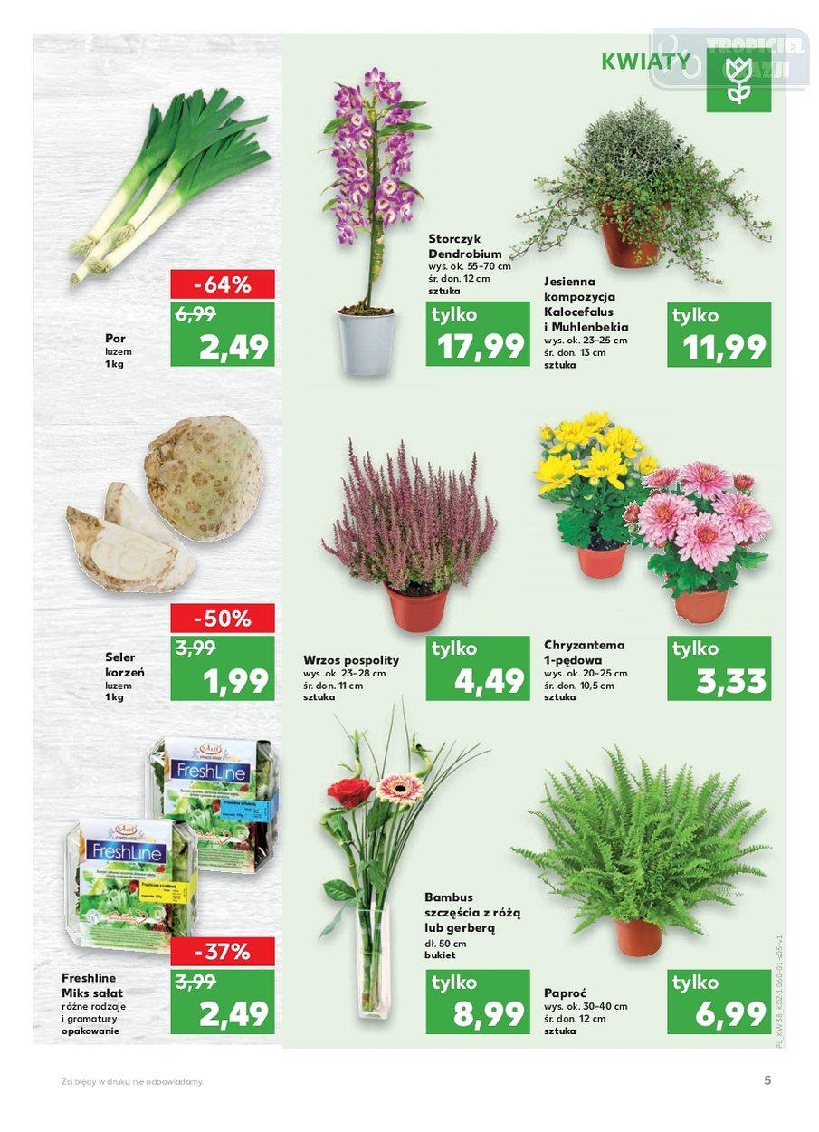 Gazetka promocyjna Kaufland str. 5