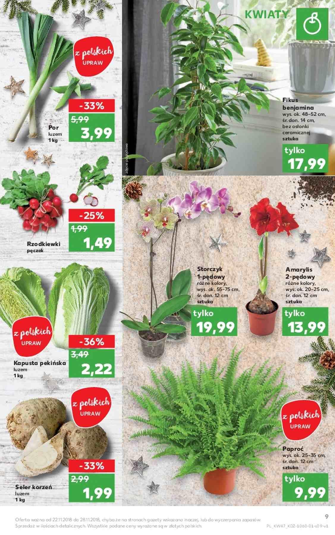 Gazetka promocyjna Kaufland str. 9