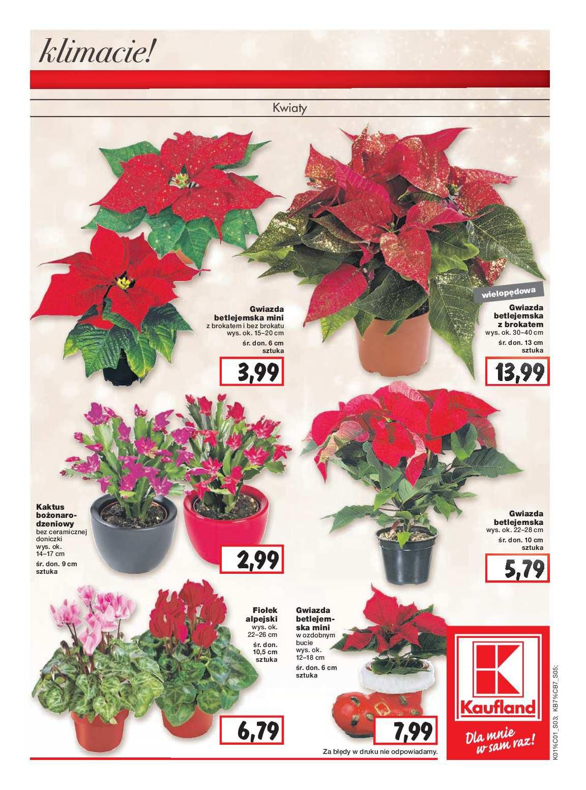 Gazetka promocyjna Kaufland str. 3