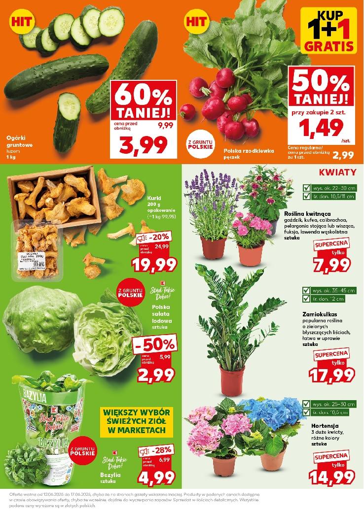 Gazetka promocyjna Kaufland str. 13