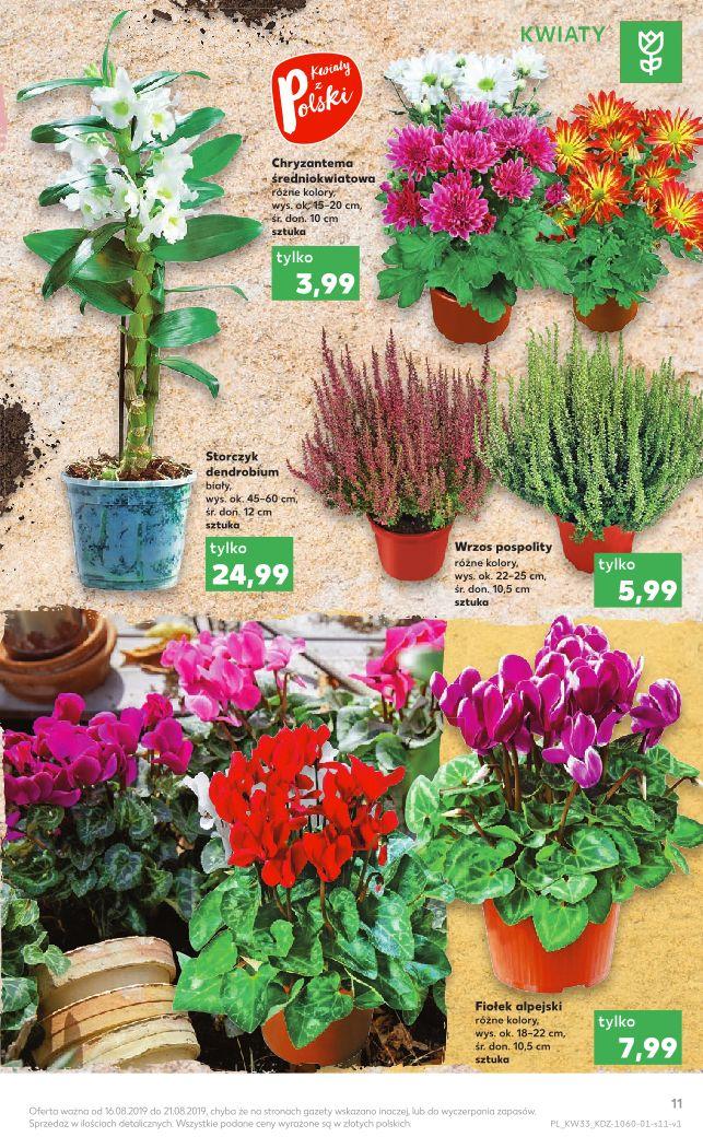 Gazetka promocyjna Kaufland str. 11