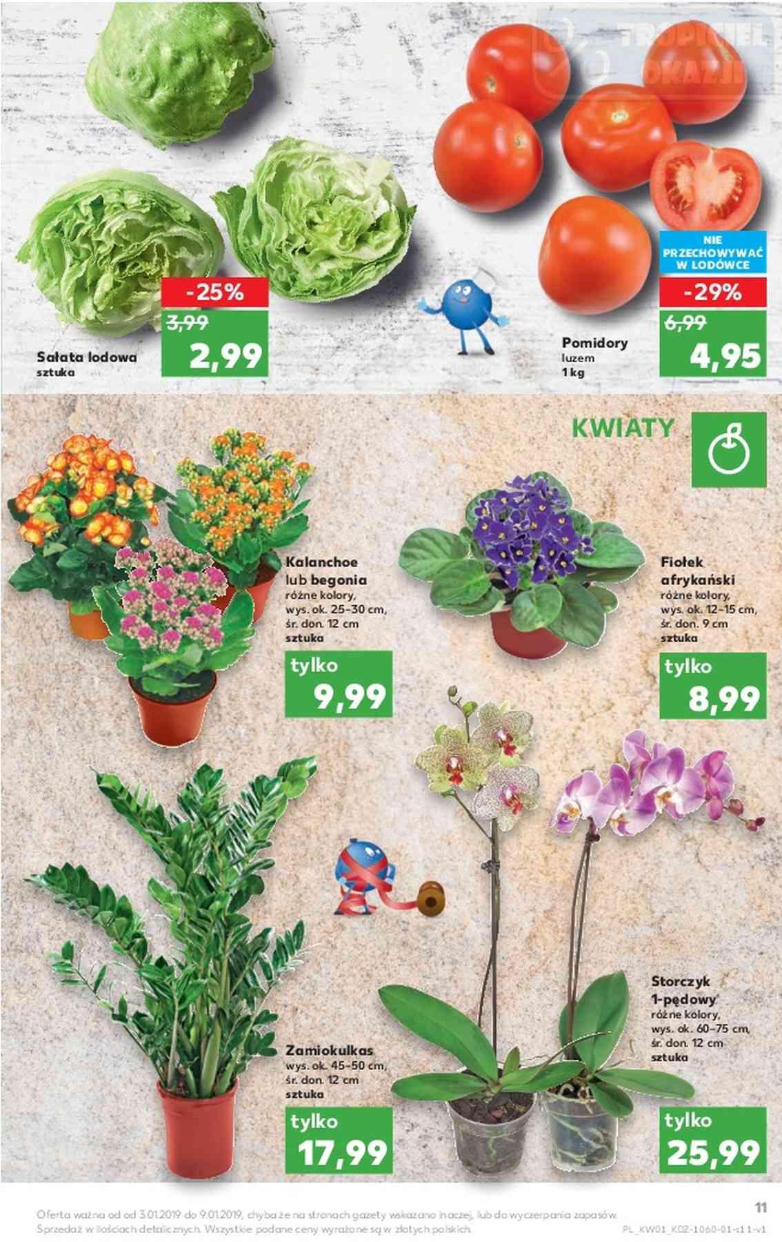 Gazetka promocyjna Kaufland str. 11