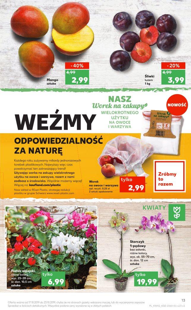 Gazetka promocyjna Kaufland str. 13