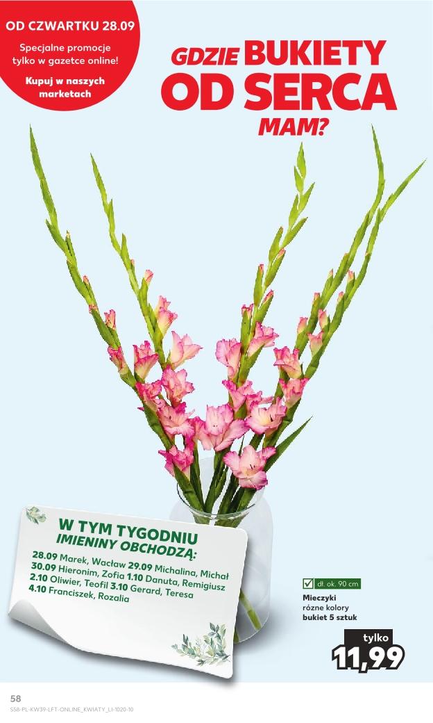 Gazetka promocyjna Kaufland str. 58