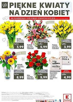 Oferta 5.03