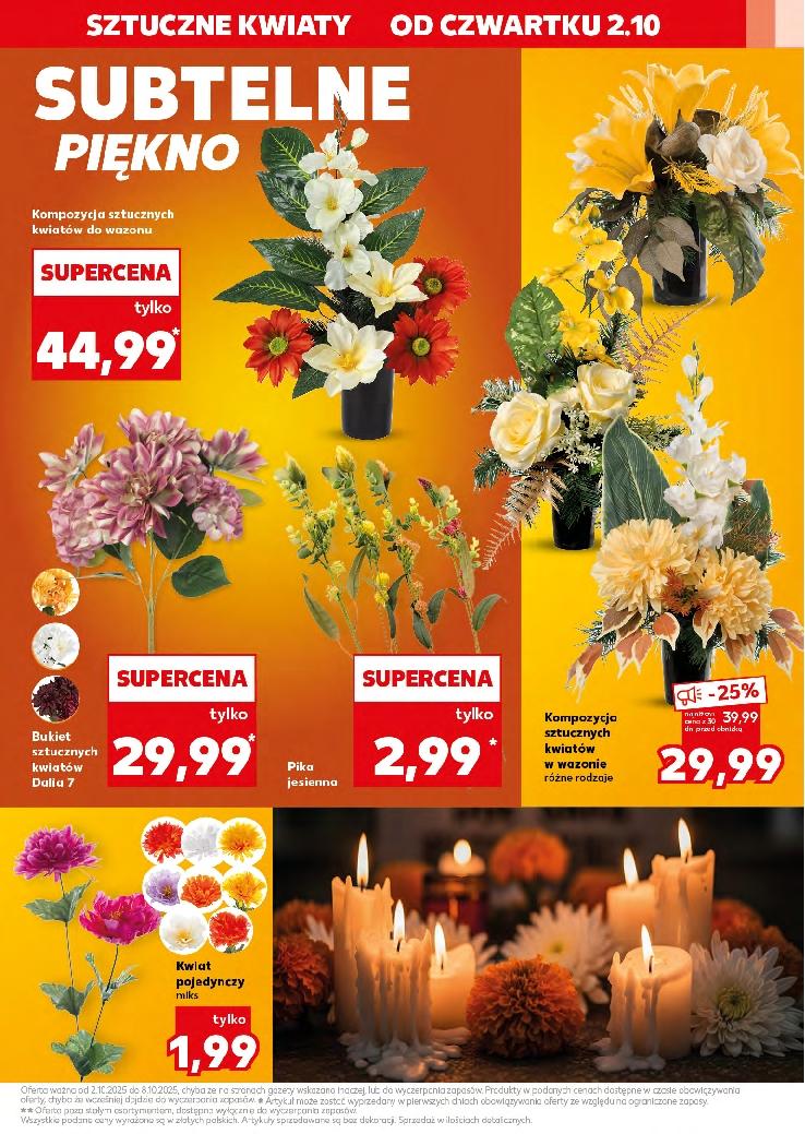 Gazetka promocyjna Kaufland str. 15