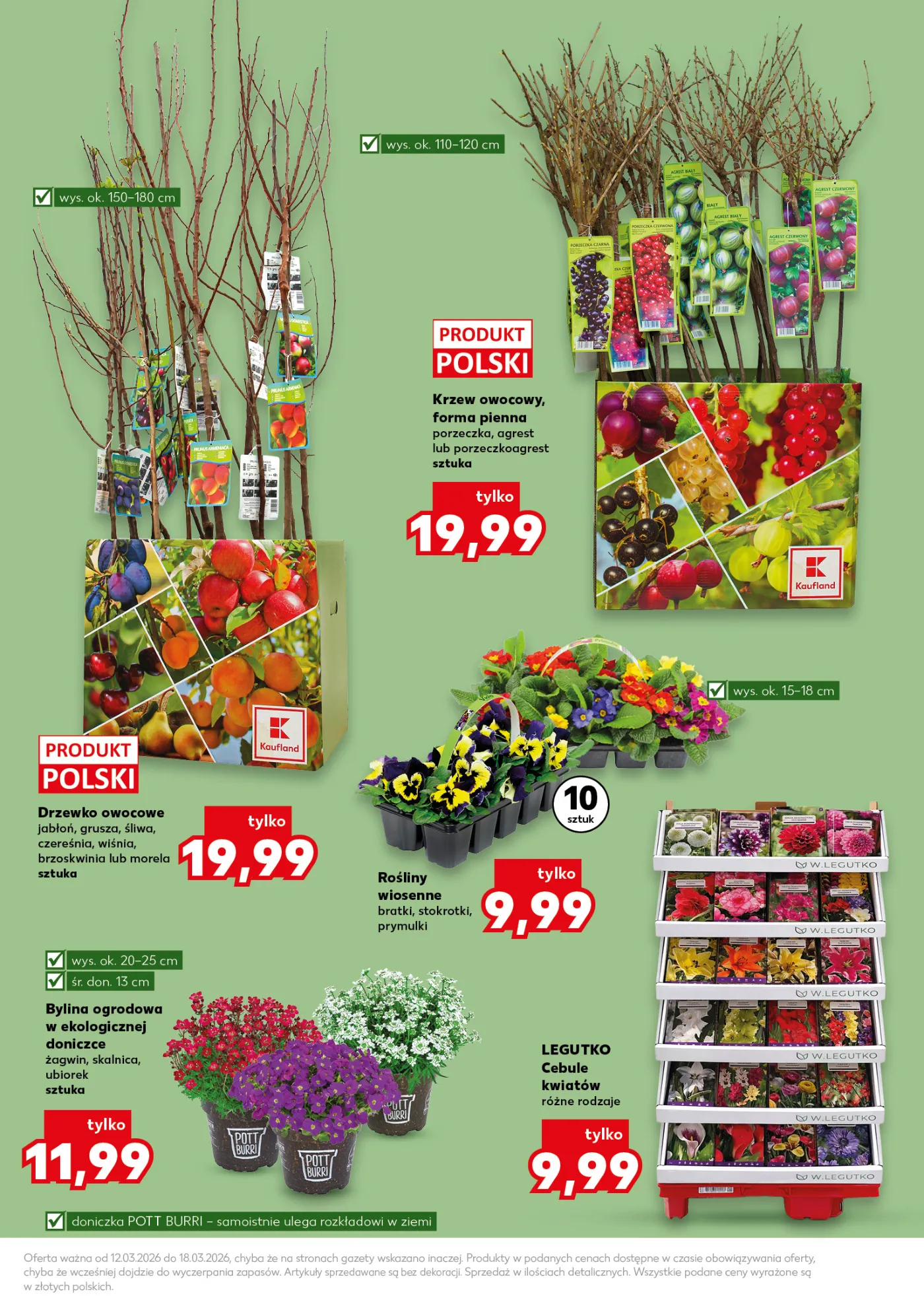 Gazetka promocyjna Kaufland str. 13