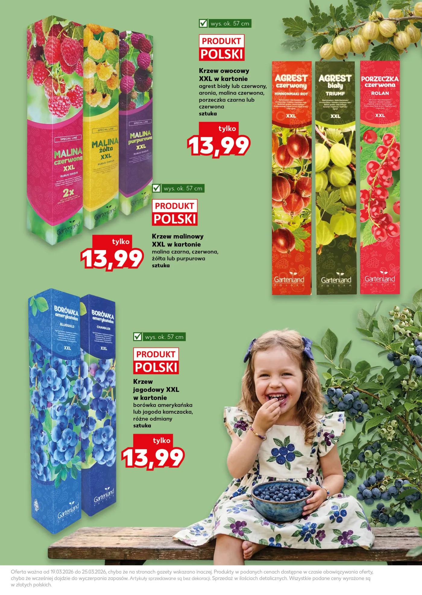 Gazetka promocyjna Kaufland str. 11