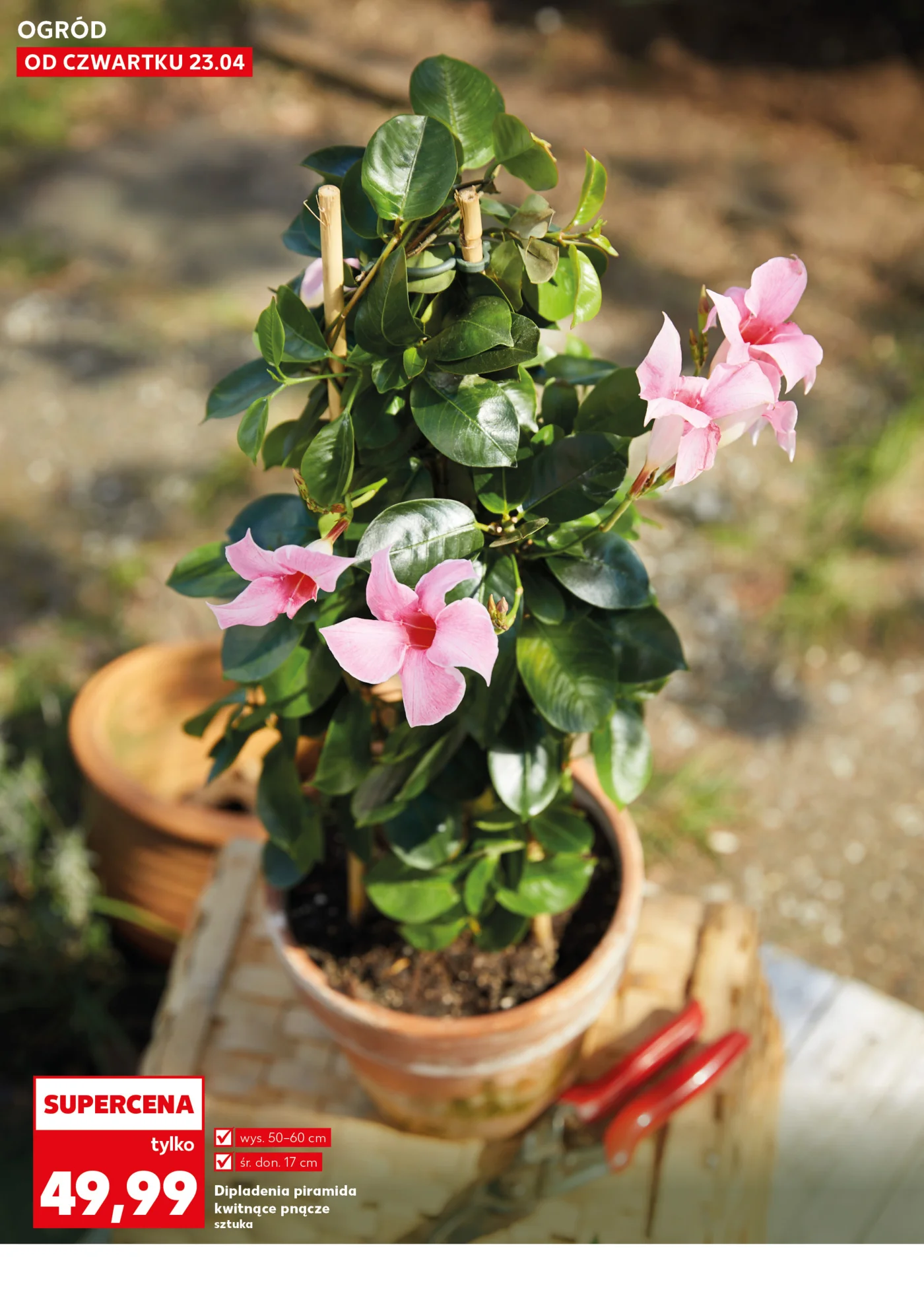 Gazetka promocyjna Kaufland str. 10