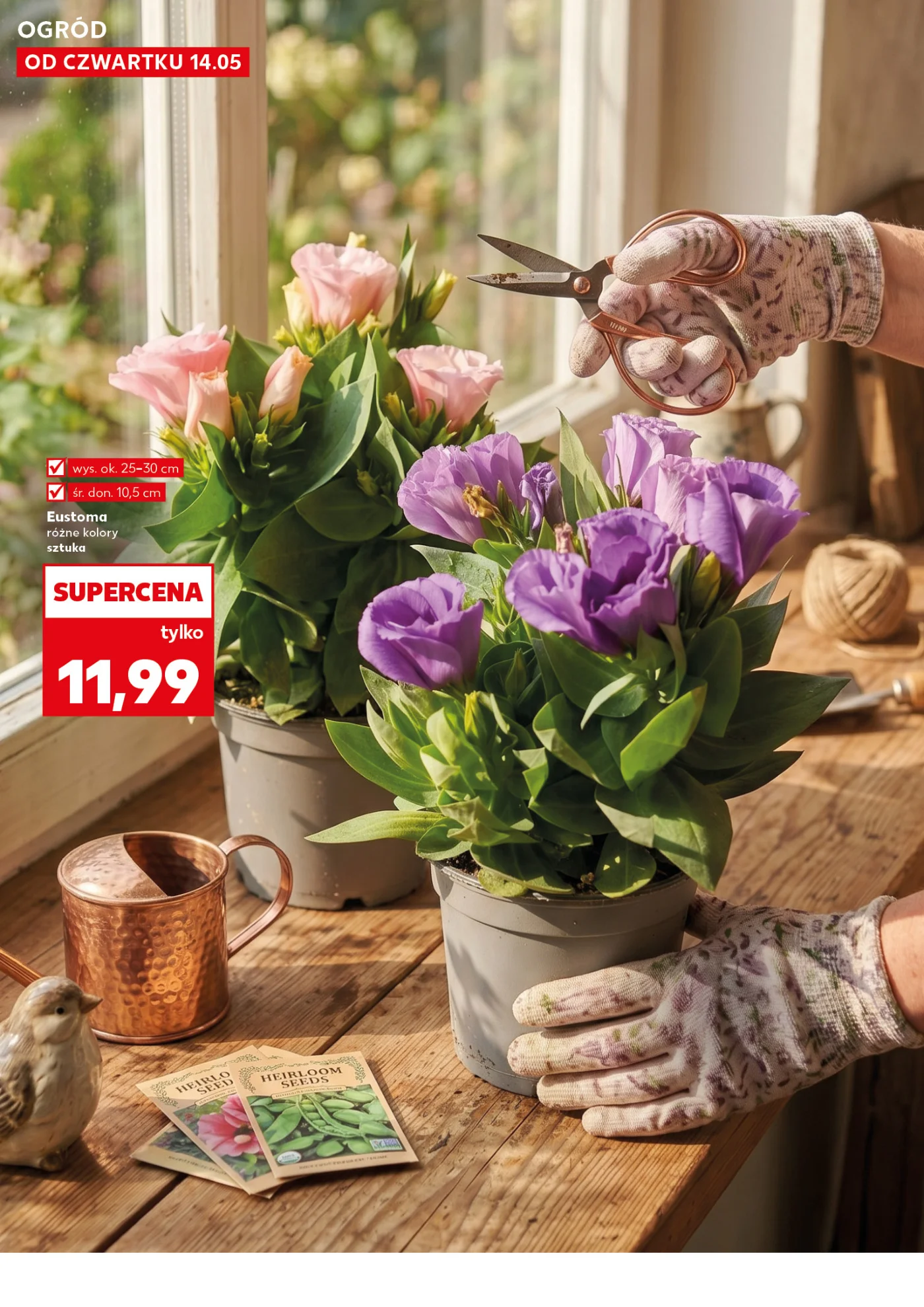 Gazetka promocyjna Kaufland str. 10