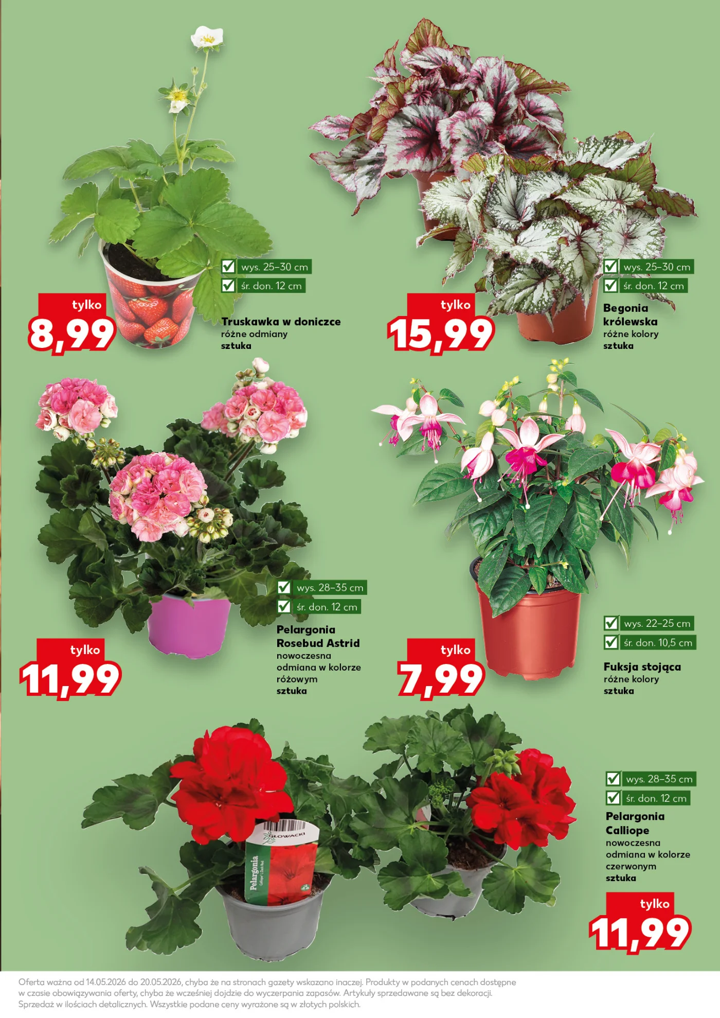 Gazetka promocyjna Kaufland str. 11