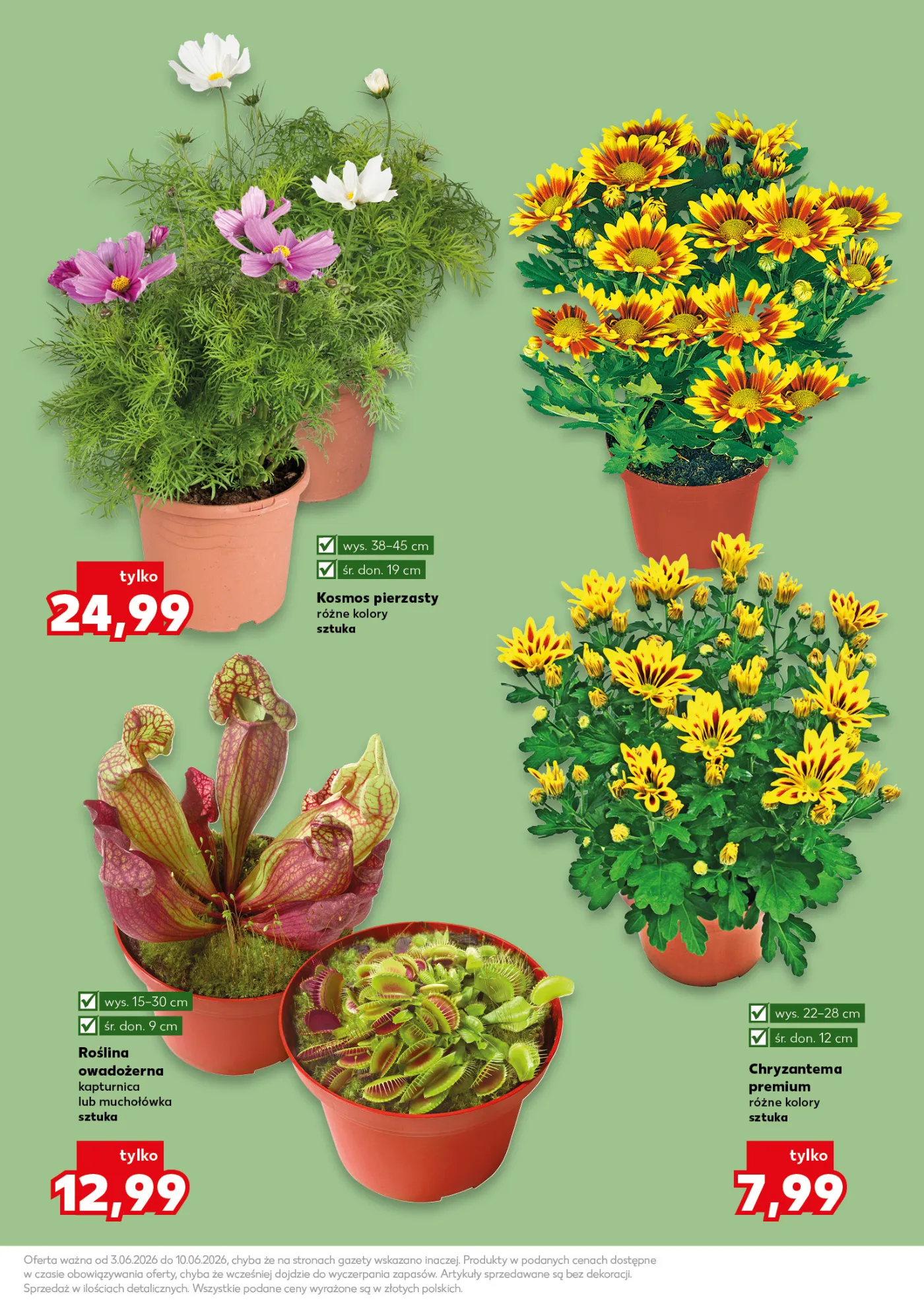 Gazetka promocyjna Kaufland str. 11