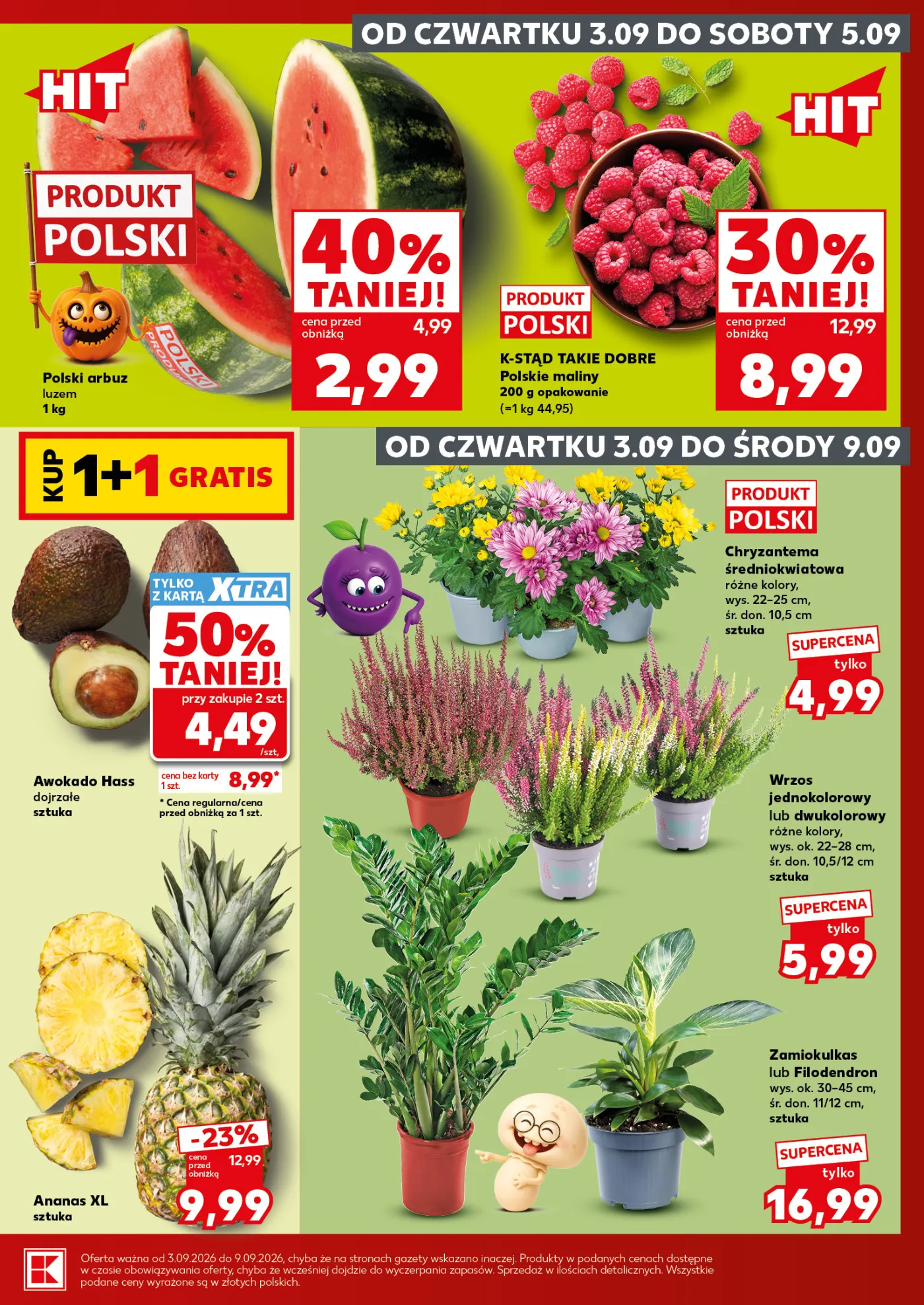 Gazetka promocyjna Kaufland str. 9