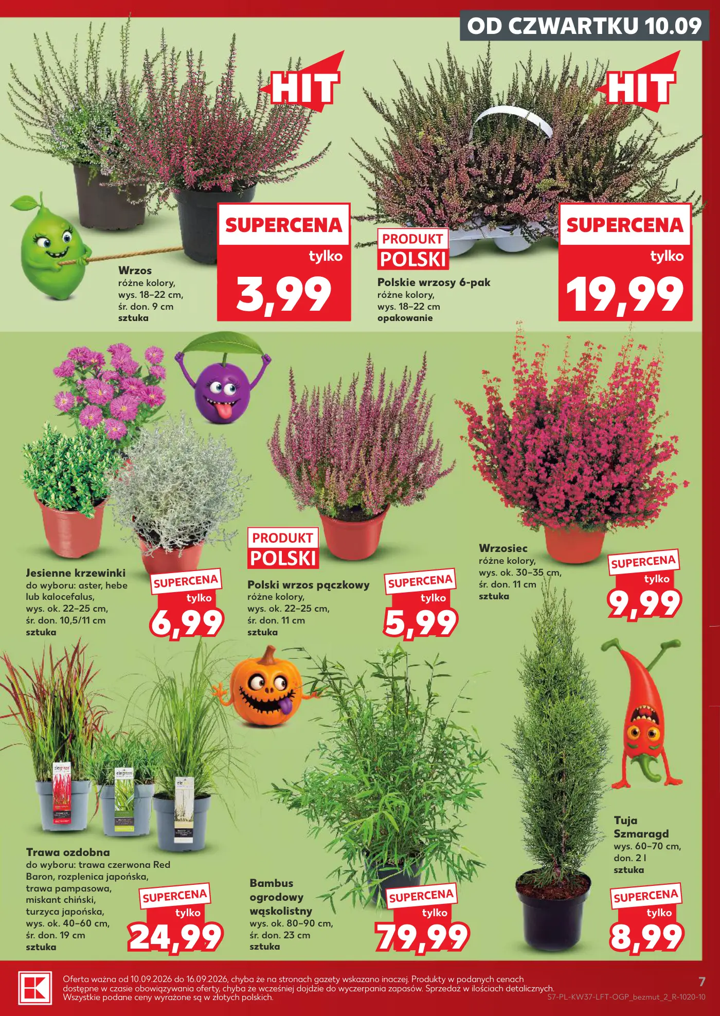 Gazetka promocyjna Kaufland str. 7