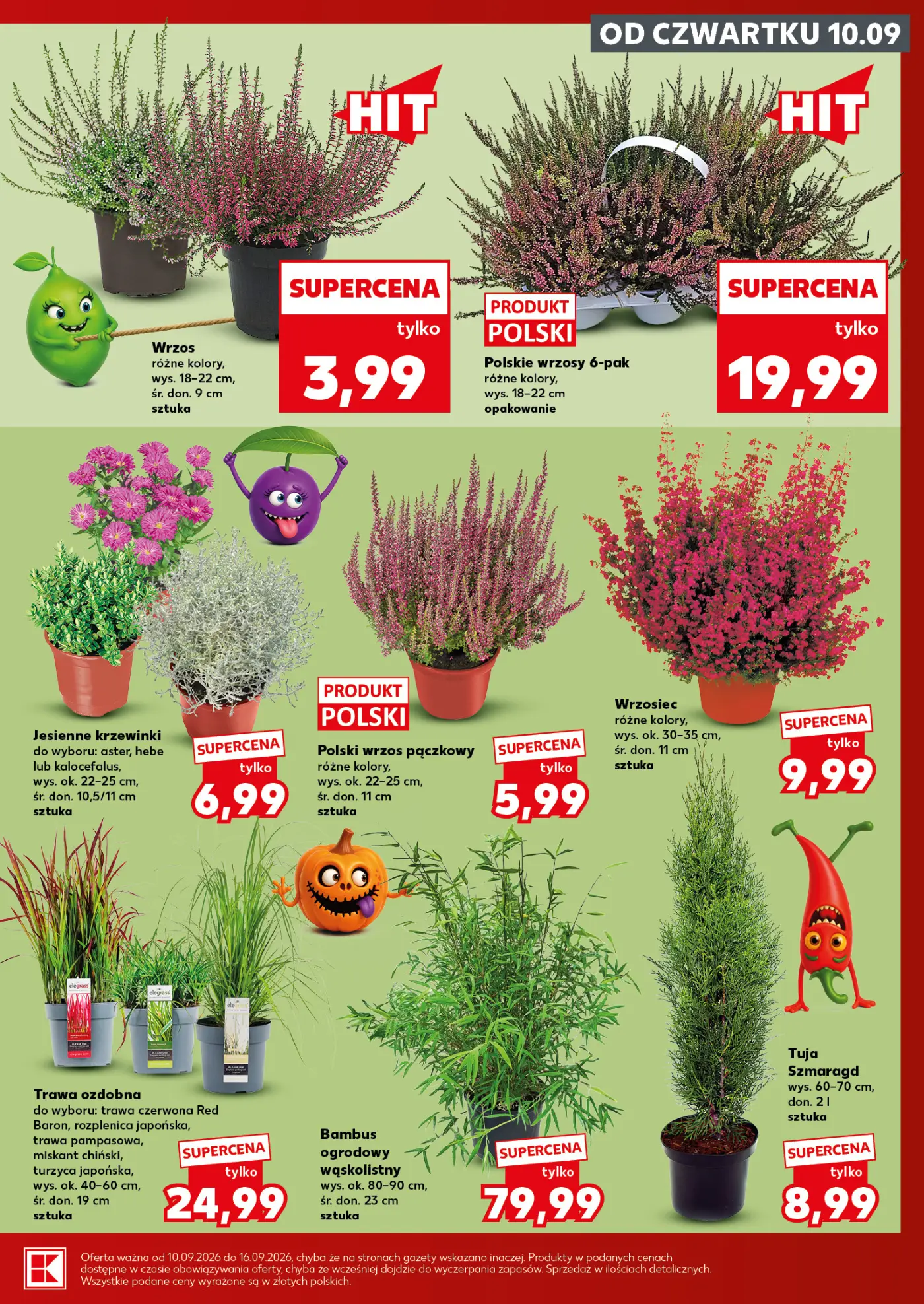 Gazetka promocyjna Kaufland str. 7