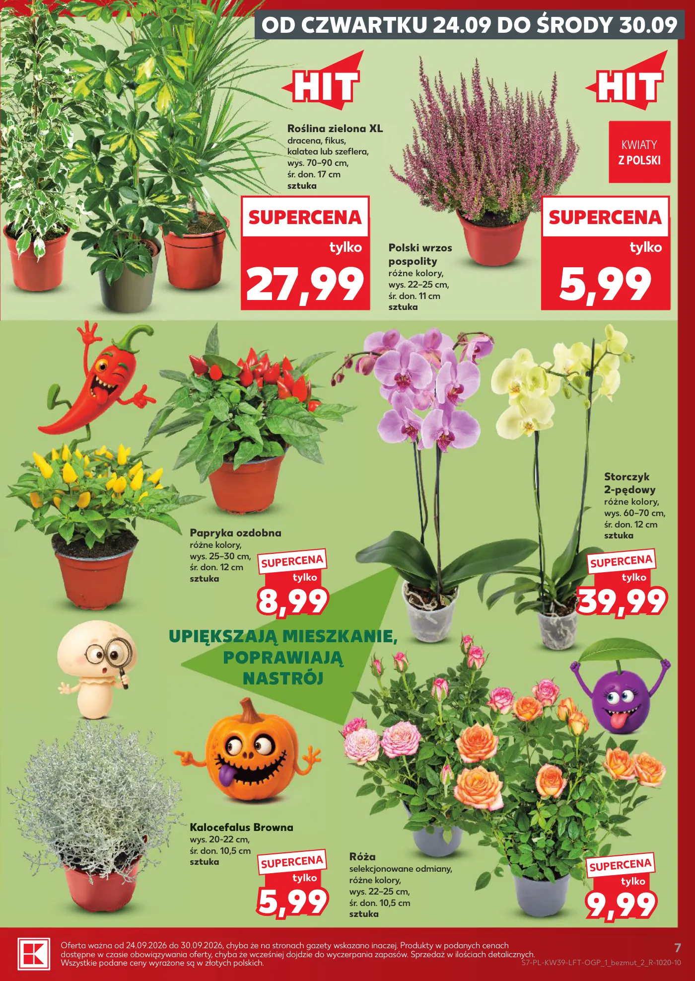 Gazetka promocyjna Kaufland str. 7