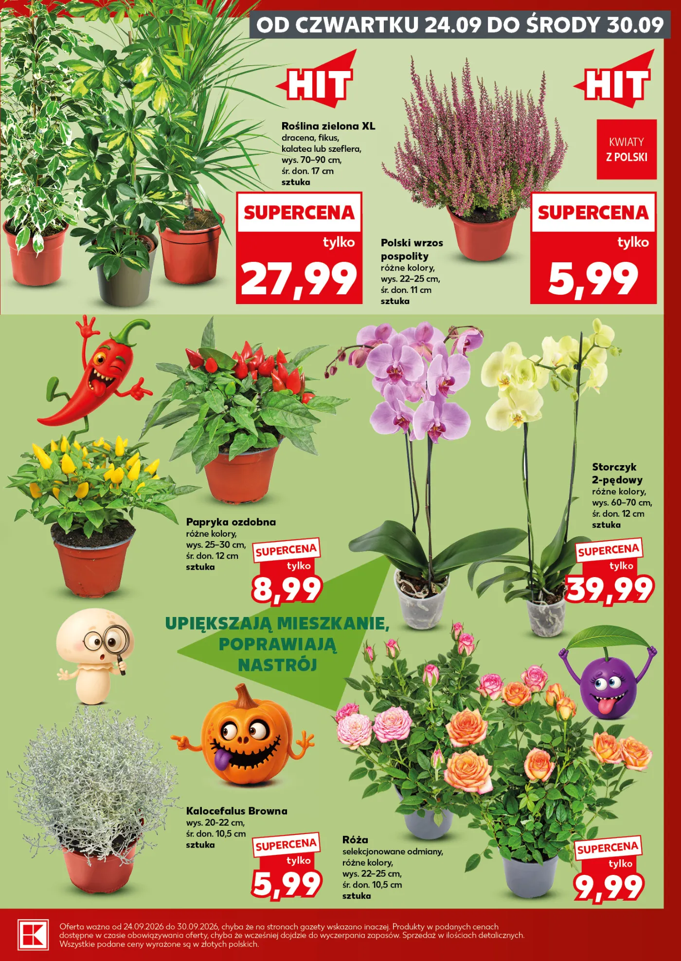 Gazetka promocyjna Kaufland str. 7