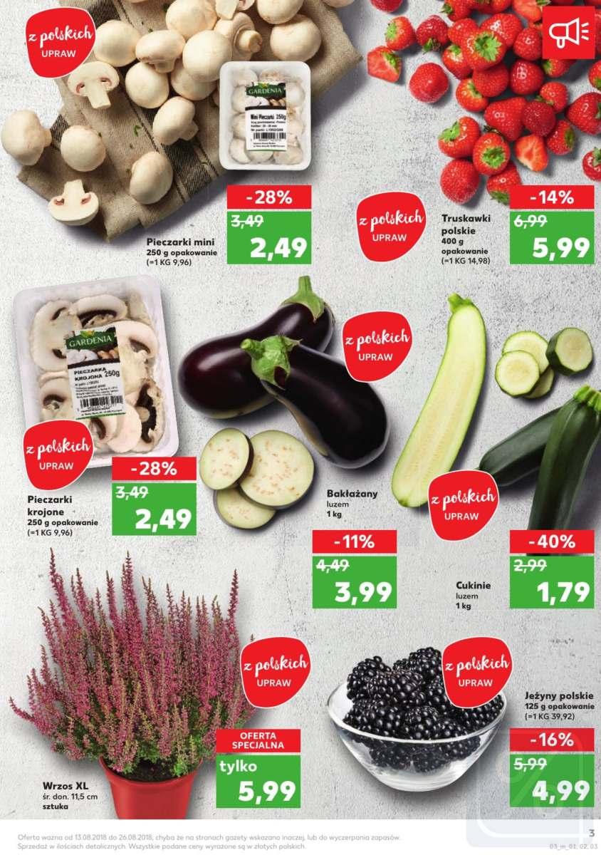 Gazetka promocyjna Kaufland str. 3