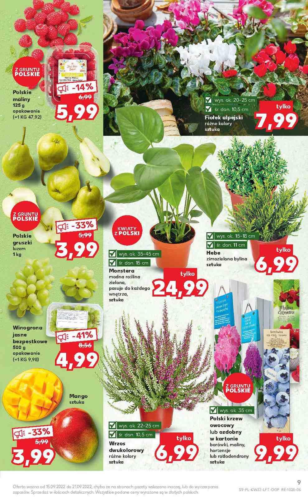 Gazetka promocyjna Kaufland str. 9