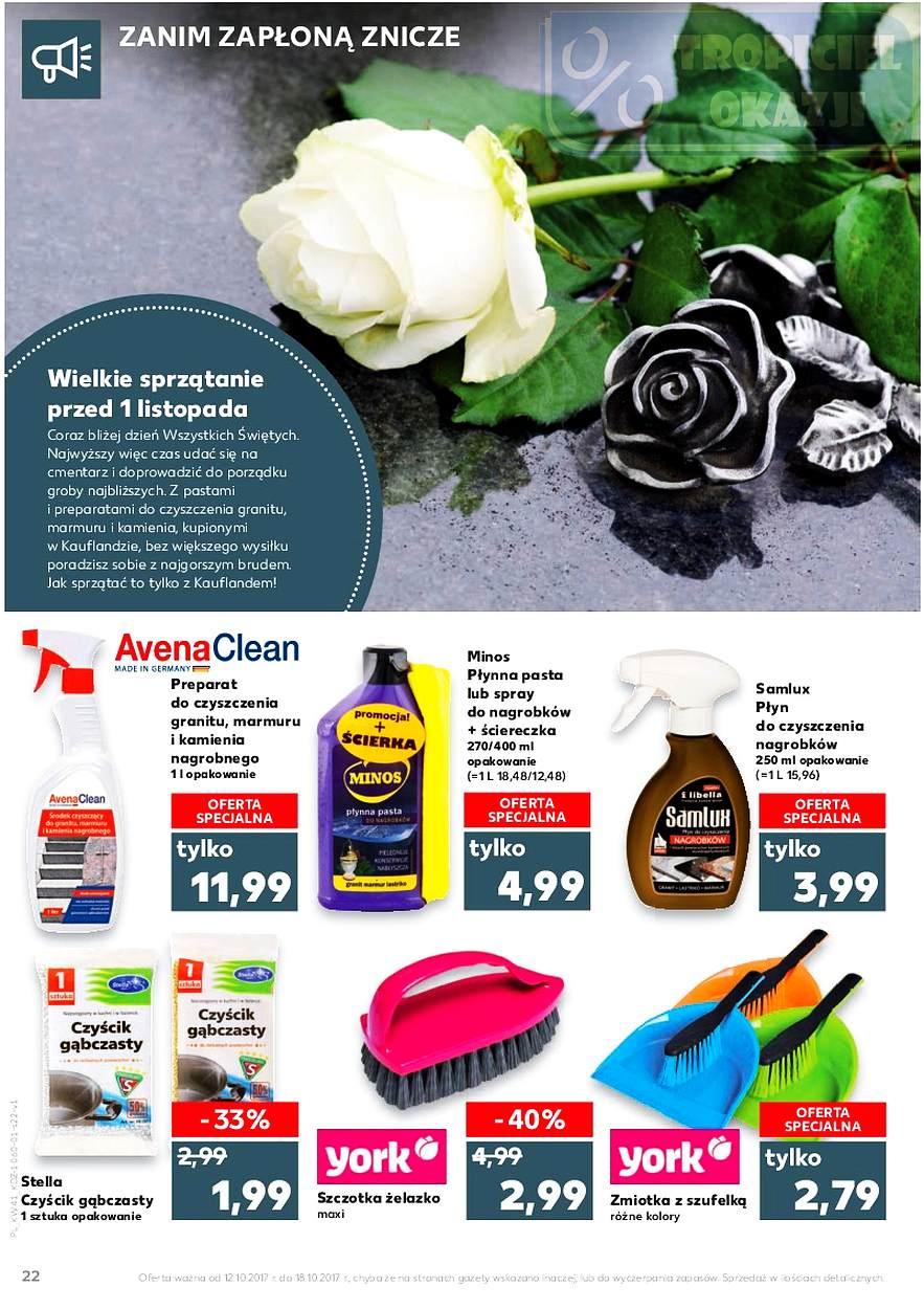 Gazetka promocyjna Kaufland str. 22