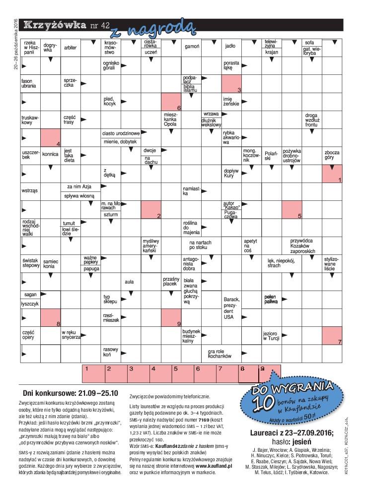 Gazetka promocyjna Kaufland str. 41