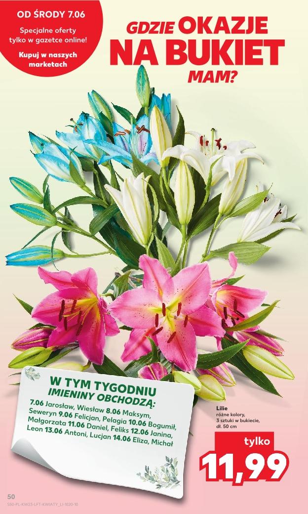 Gazetka promocyjna Kaufland str. 50