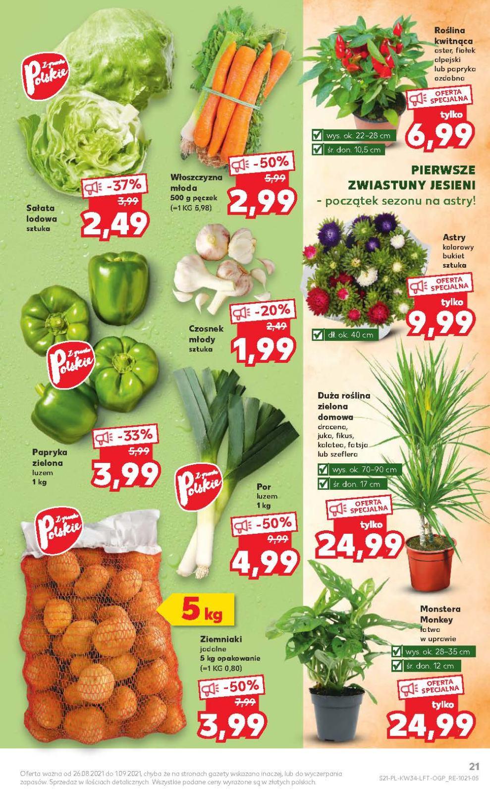 Gazetka promocyjna Kaufland str. 19