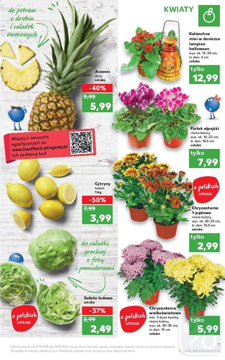 Gazetka promocyjna Kaufland str. 7