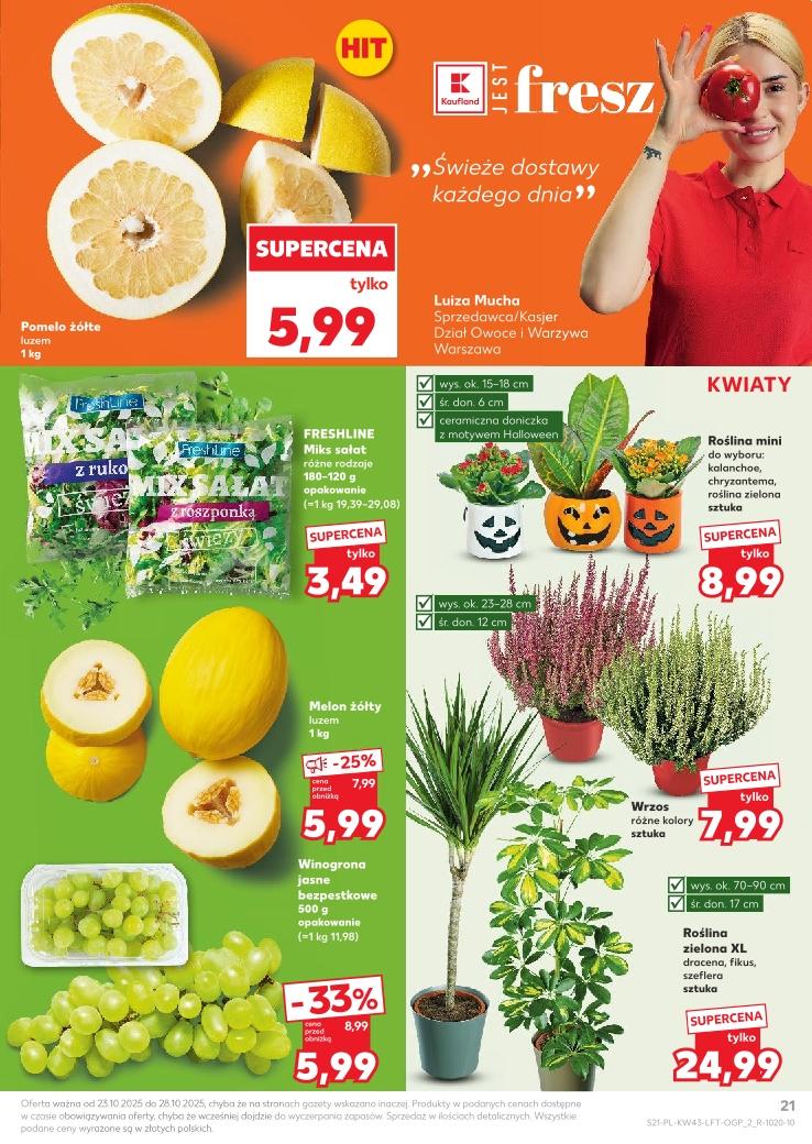 Gazetka promocyjna Kaufland str. 21