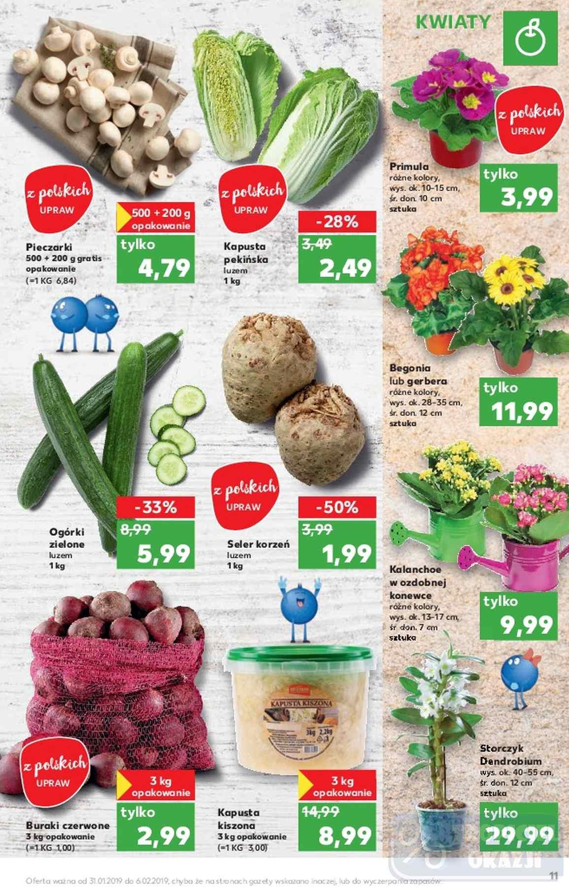 Gazetka promocyjna Kaufland str. 11