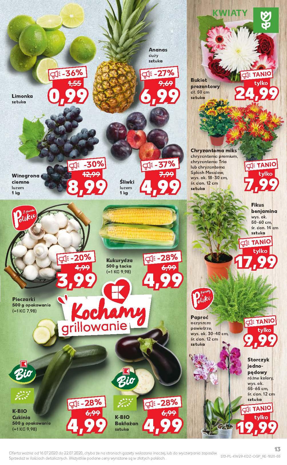Gazetka promocyjna Kaufland str. 13