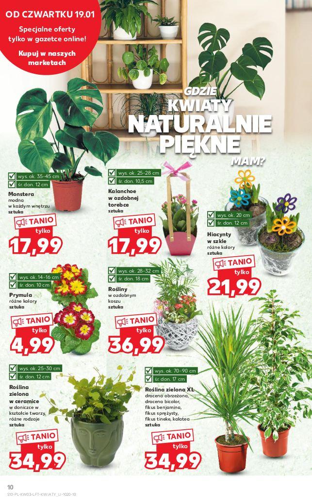 Gazetka promocyjna Kaufland str. 10