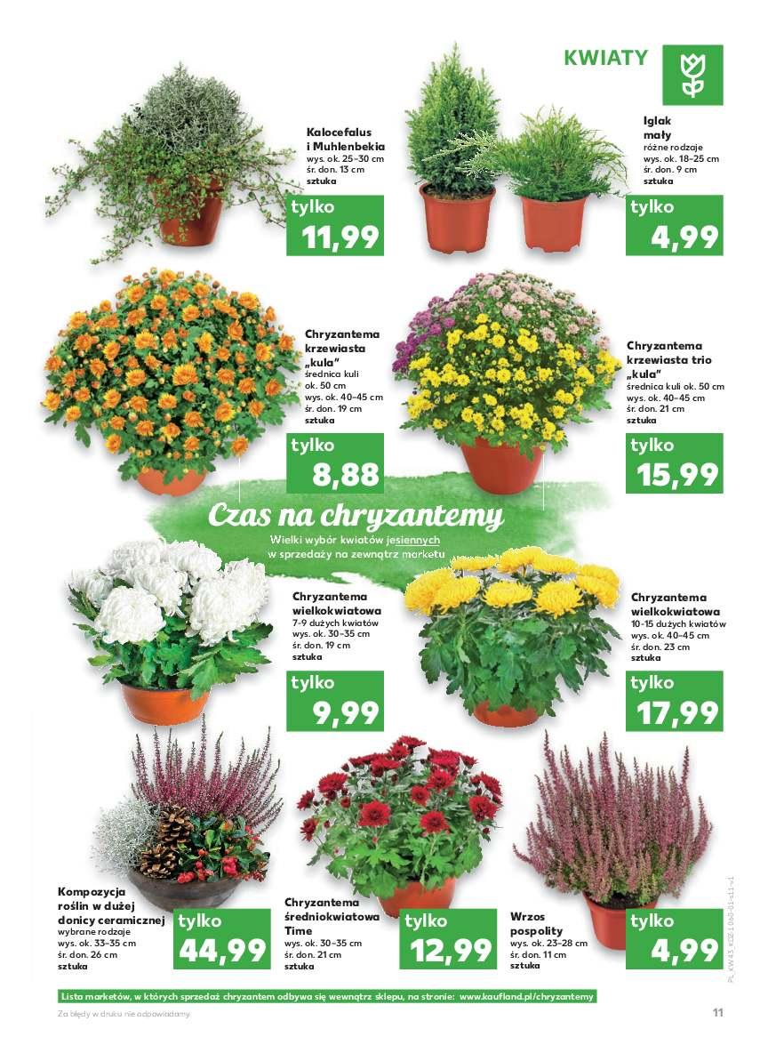 Gazetka promocyjna Kaufland str. 11
