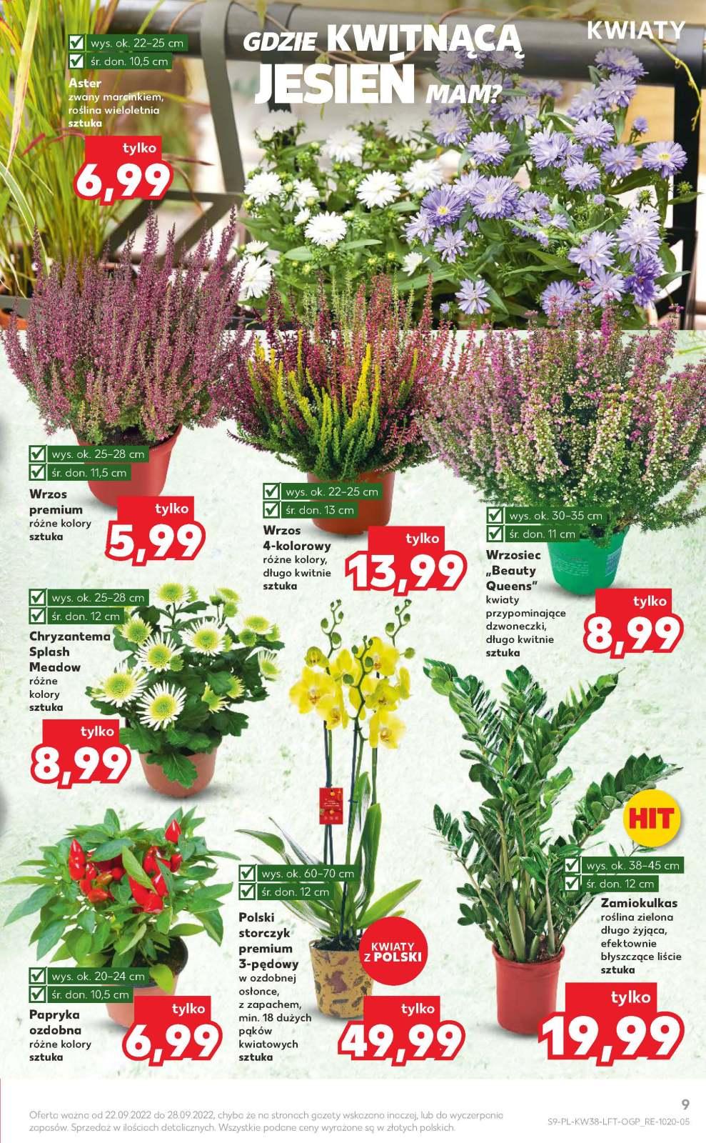 Gazetka promocyjna Kaufland str. 9