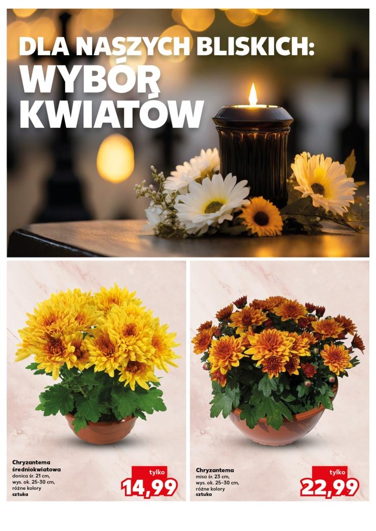 Gazetka promocyjna Kaufland str. 10