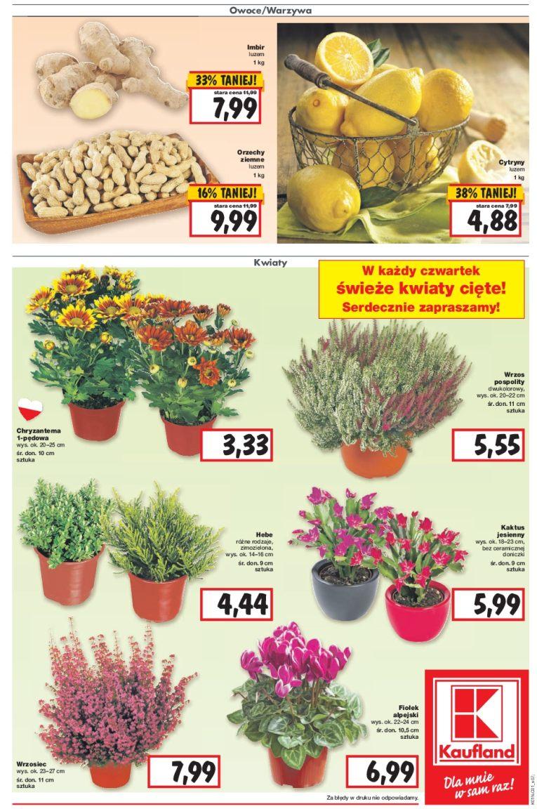 Gazetka promocyjna Kaufland str. 7